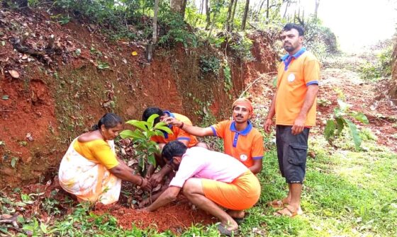 Cleanliness and fruit and vegetable plantation in the premises of Anganwadi Center