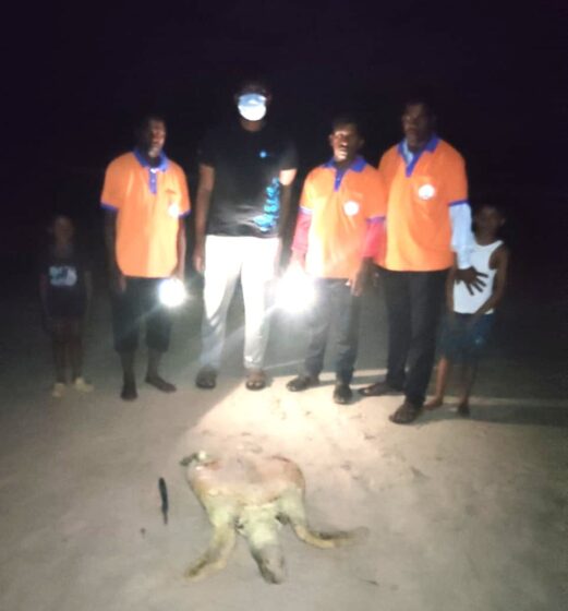 ಗಂಗೊಳ್ಳಿ ಸಮುದ್ರ ಕಿನಾರೆಯಲ್ಲಿ ಅಪರೂಪದ ಕಡಲಾಮೆ ಪತ್ತೆ,