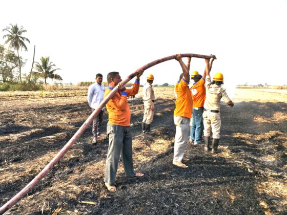 Accidental fire in sugarcane field, firefighters successfully extinguished it.