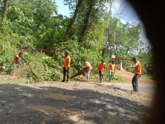 ಕುಂದಾಪುರ: ಕಮಲಶಿಲೆ ಸ್ವಯಂಸೇವಕರಿಂದ ರಸ್ತೆಯ ಬದಿಯಲ್ಲಿದ್ದ ಅಪಾಯಕಾರಿ ಮರ ತೆರವು.