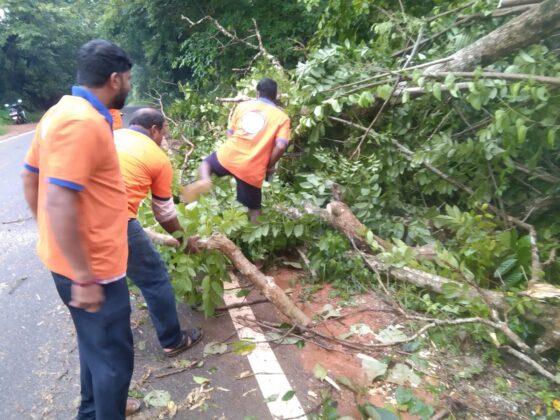 ಕುಂದಾಪುರ:  ಬಸ್ರೂರು ಬಳಿ ಮುಖ್ಯ ರಸ್ತೆಯಲ್ಲಿ ಉರುಳಿದ ಮರ; ತೆರವಿಗೆ ಸಹಕರಿಸಿದ ಶೌರ್ಯ ತಂಡ.