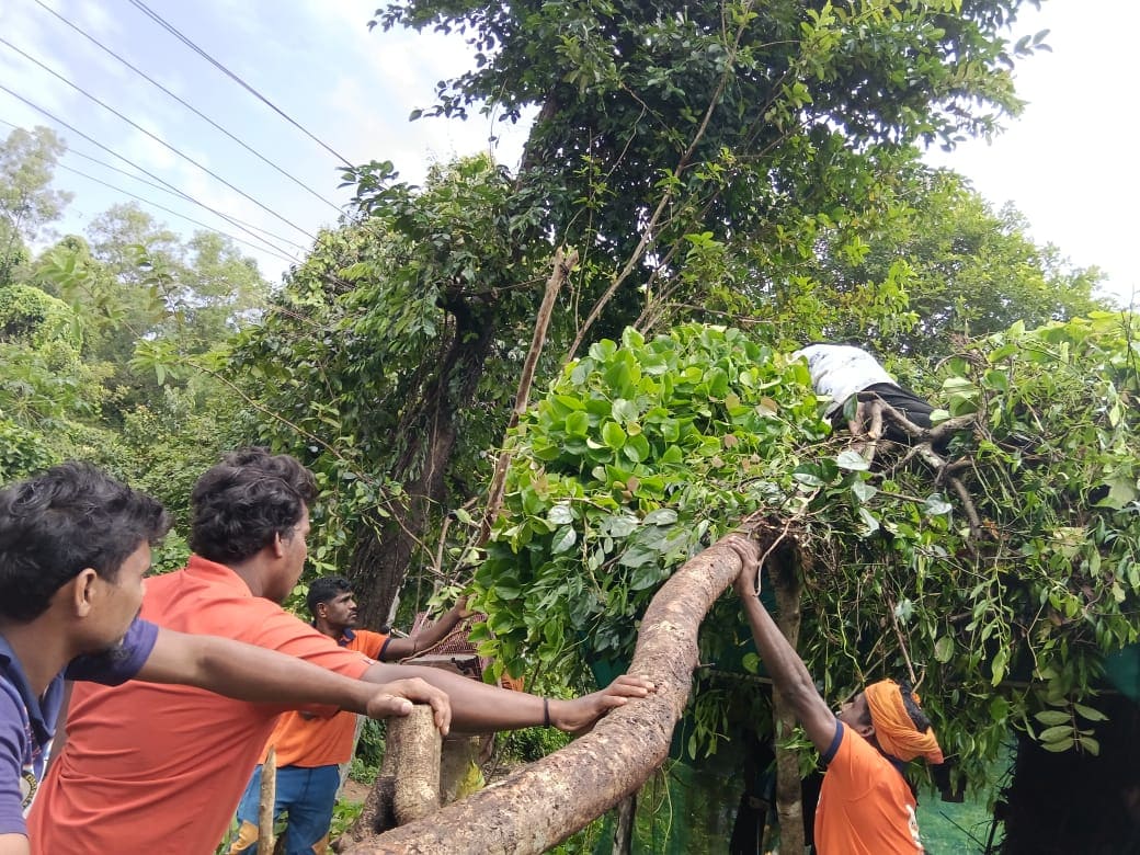ವಿಟ್ಲ: ಮಳೆಗೆ ಮನೆ ಮೇಲೆ ಮರ ಬಿದ್ದು ಹಾನಿ: ಶೌರ್ಯ ವಿಪತ್ತು ನಿರ್ವಹಣಾ ಘಟಕದಿಂದ ತ್ವರಿತ ತೆರವು ಕಾರ್ಯ