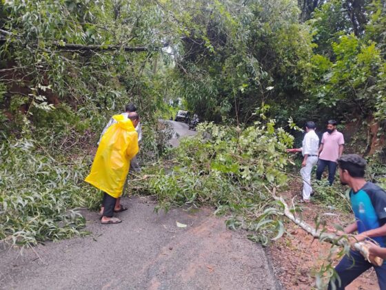 ಕಾರವಾರ: ರಸ್ತೆಯಲ್ಲಿ ಉರುಳಿದ ಮರವನ್ನು ತೆರವು ಮಾಡಿದ ಶೌರ್ಯ ತಂಡದ ಸದಸ್ಯರು.