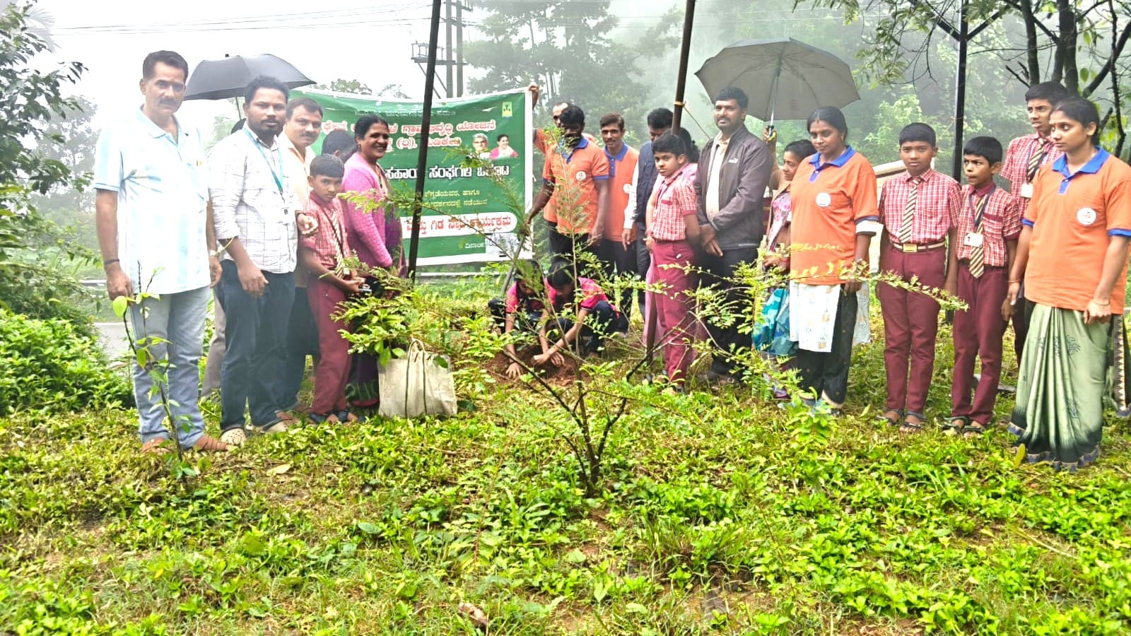 ಮಡಿಕೇರಿ: ಜೋಡುಪಾಲ ಶಾಲೆಯಲ್ಲಿ ಗಿಡ ನಾಟಿ