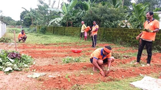 ಕಡಬ: ಶಾಲೆಯಲ್ಲಿ ತರಕಾರಿ ಕೈತೋಟ ರಚನೆ; ಮರ್ದಾಳ ಶೌರ್ಯ ತಂಡದಿಂದ ಶ್ರಮದಾನ.