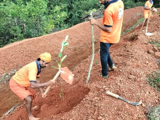 ಪುತ್ತೂರು: ರುದ್ರಭೂಮಿ ಪರಿಸರದಲ್ಲಿ ಗಿಡನಾಟಿ ಮಾಡಿದ ಕೊಡಿಂಬಾಡಿ ಘಟಕದ ಸ್ವಯಂಸೇವಕರು.