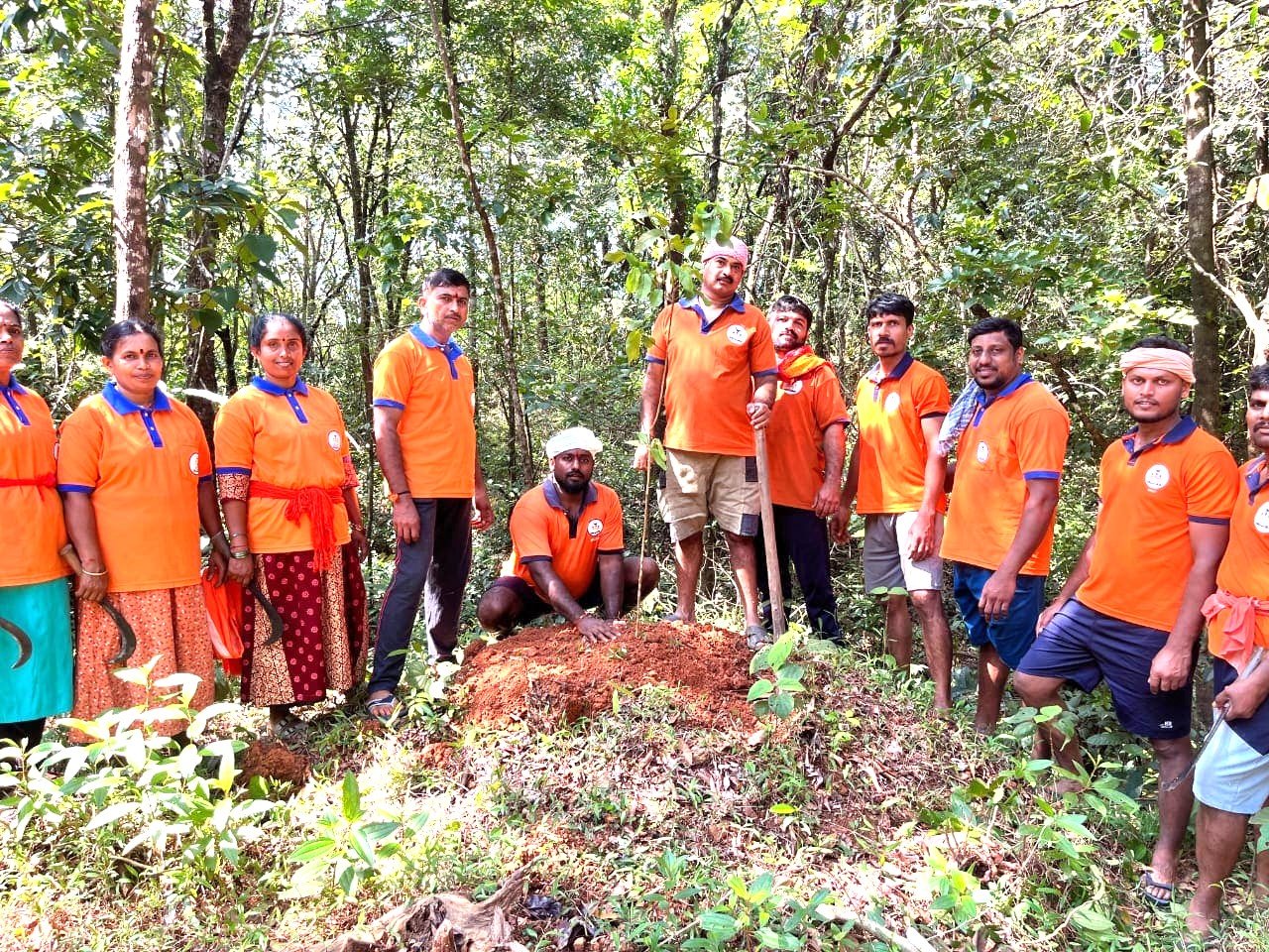 ಸುಳ್ಯ: ಕುಂಟುಮಾಯ ಅರಣ್ಯ ಪ್ರದೇಶದಲ್ಲಿ ಹಣ್ಣು ಹಂಪಲು ಗಿಡ ನಾಟಿ.